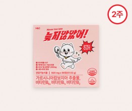 늦지않았어! 다이어트보조제 2주 구성