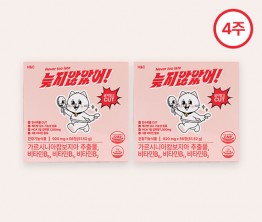 늦지않았어! 다이어트보조제 4주 구성