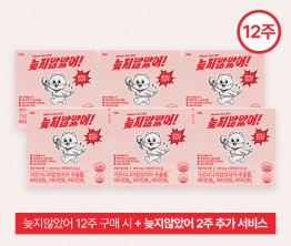늦지않았어! 다이어트보조제 12주 구성 + (이벤트) 늦지않았어 2주 추가